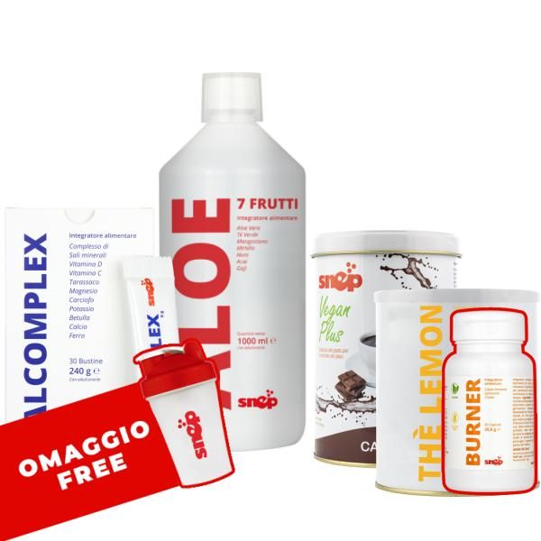 STARTING POINT + BURNER FALAS